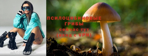 мяу мяу мука Зерноград
