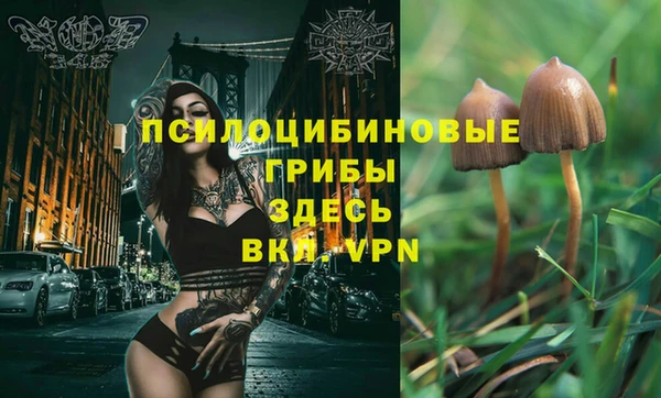 ешки Зеленокумск