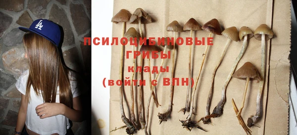 ешки Зеленокумск