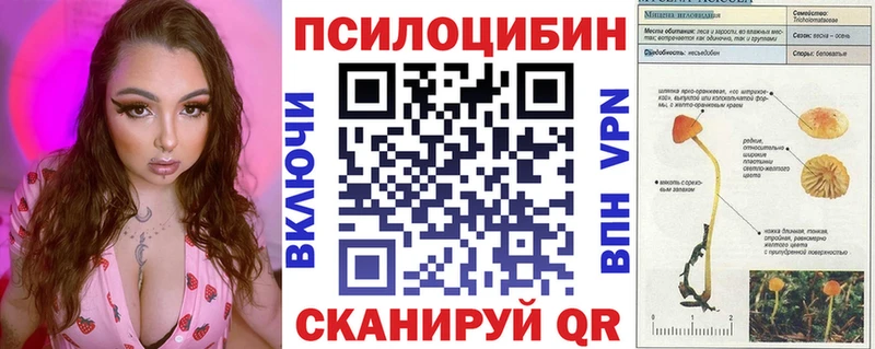 Псилоцибиновые грибы Psilocybe  Купить закладки  Маркс 